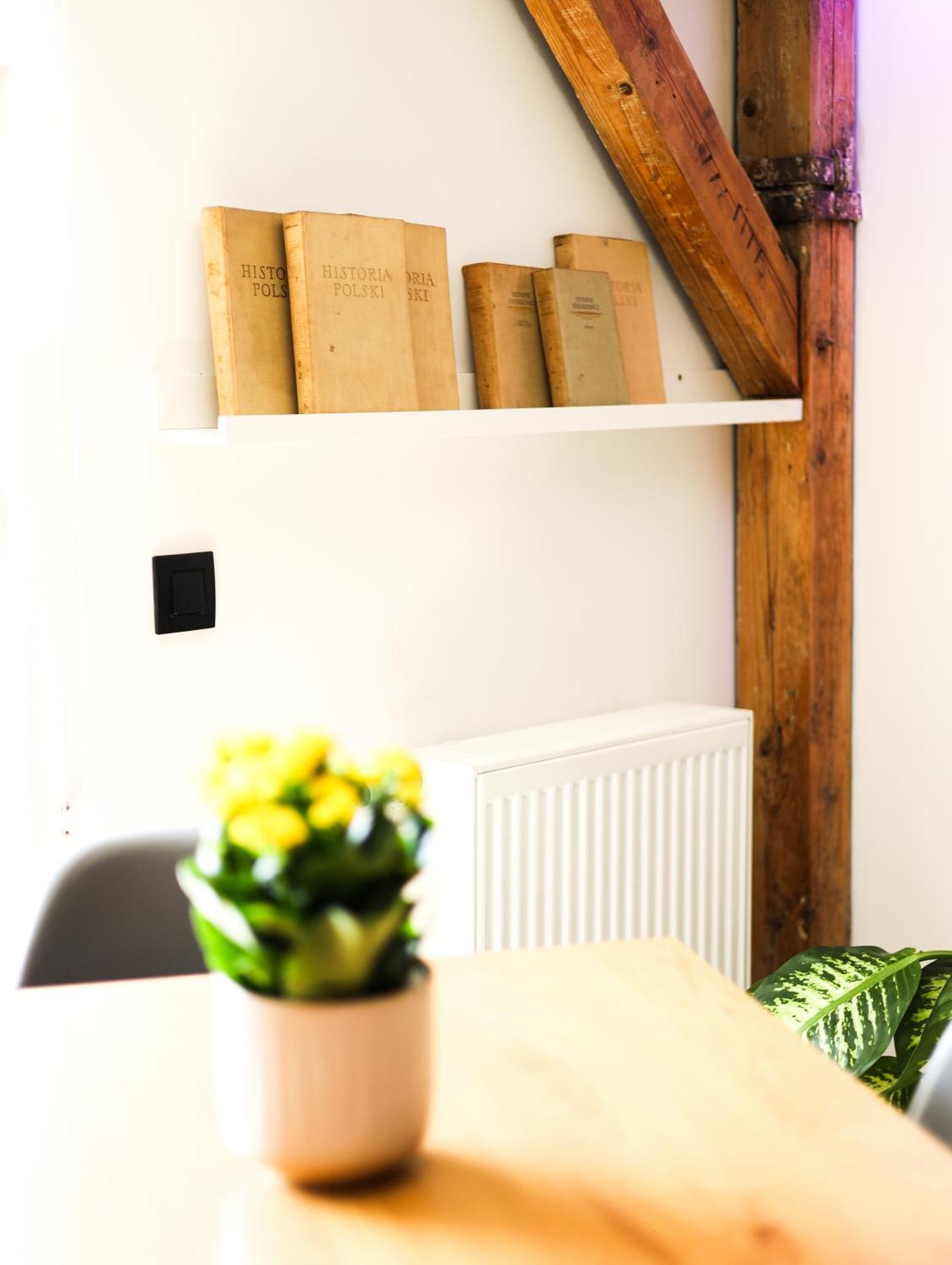 Brick And Wood Apartment Bydgoszcz